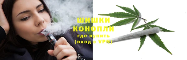 гашиш Богданович