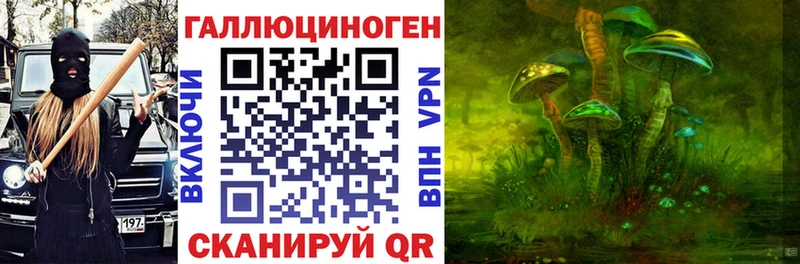 Галлюциногенные грибы Psilocybine cubensis  хочу наркоту  Киржач 